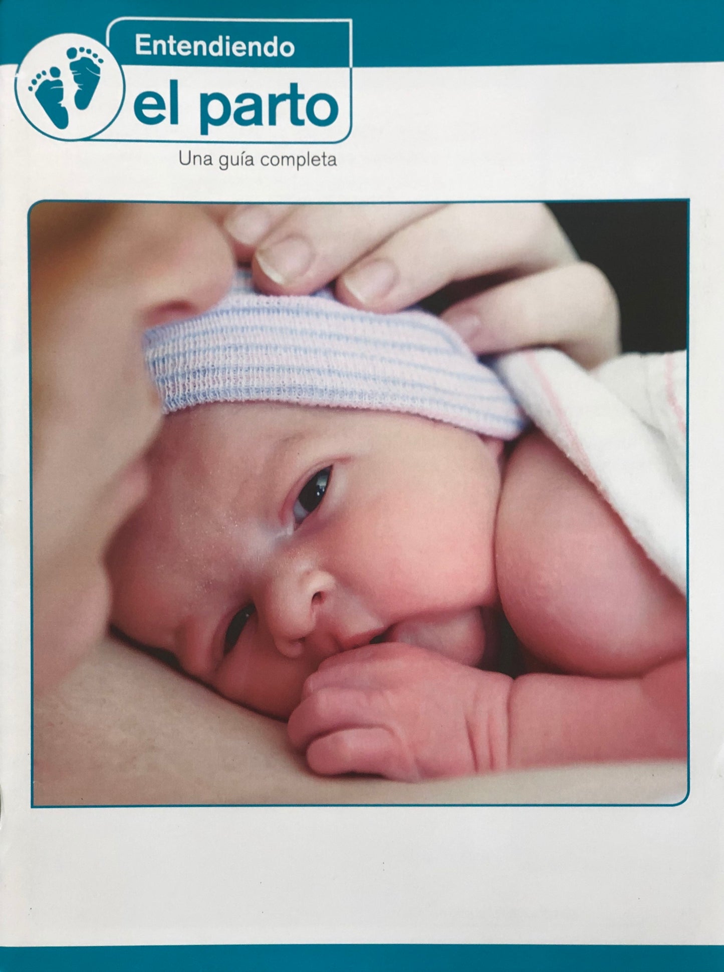Entendiendo el parto (libro)